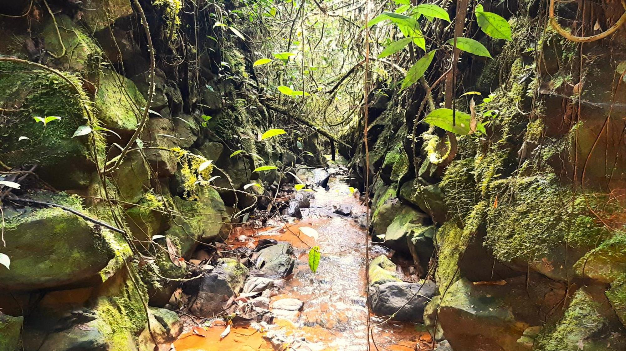 Encanto Minicasitas En Medio De La Naturaleza Santa Elena  Exteriér fotografie
