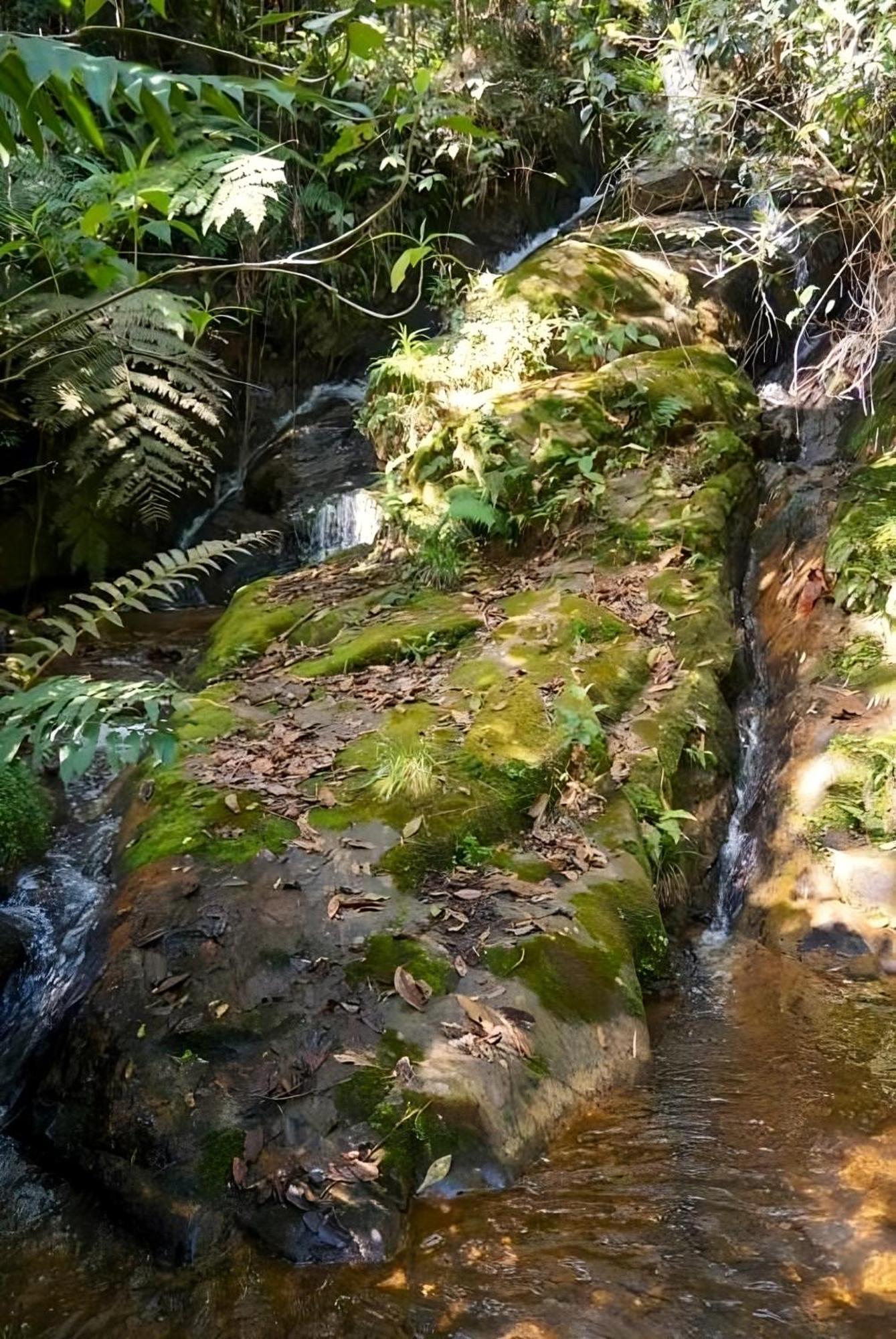 Encanto Minicasitas En Medio De La Naturaleza Santa Elena  Exteriér fotografie