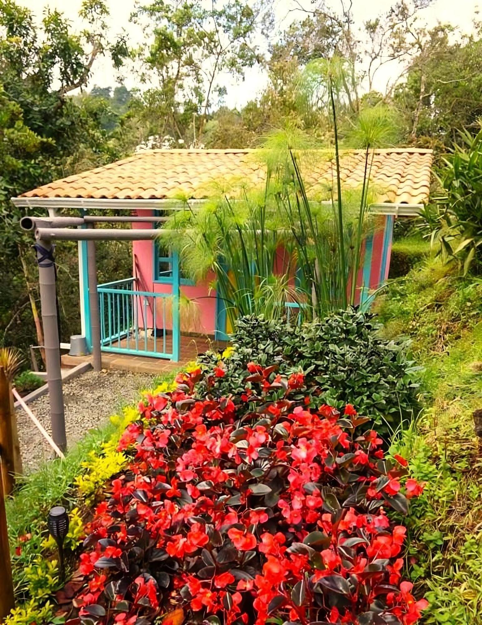 Encanto Minicasitas En Medio De La Naturaleza Santa Elena  Exteriér fotografie